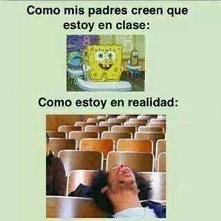 Imagenes graciosas