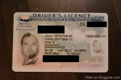 licencia