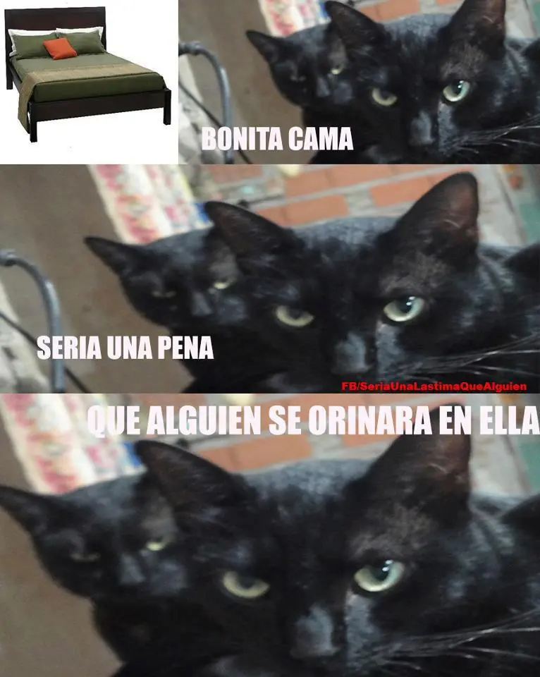 una