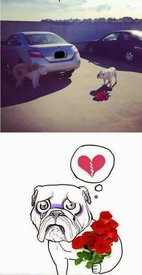 Super compilado de Domingo [Mega Post]
