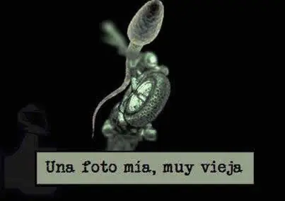 muy buenas imagenes