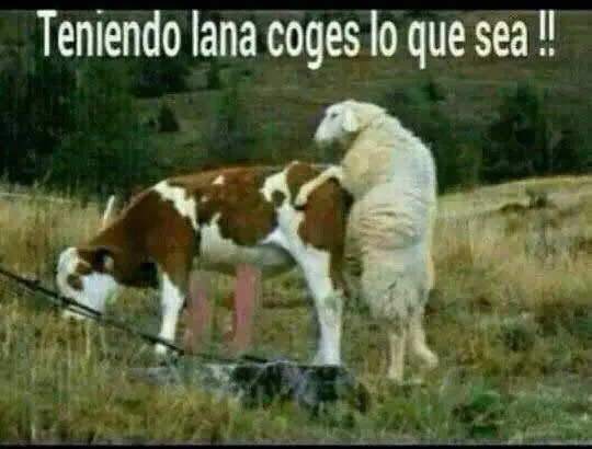 Super compilado de Domingo [Mega Post]