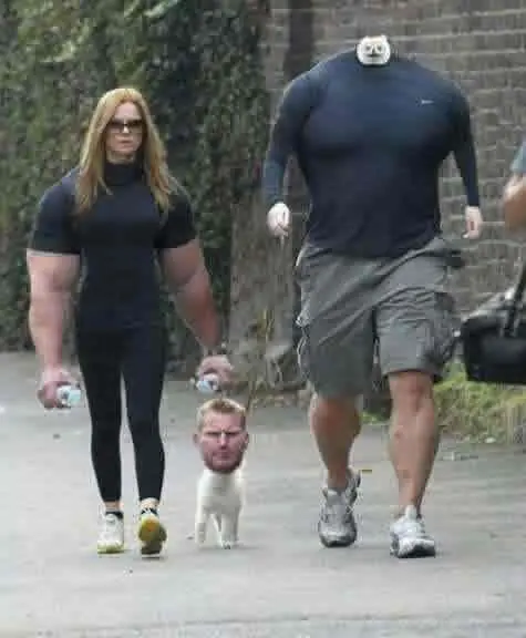 jaja