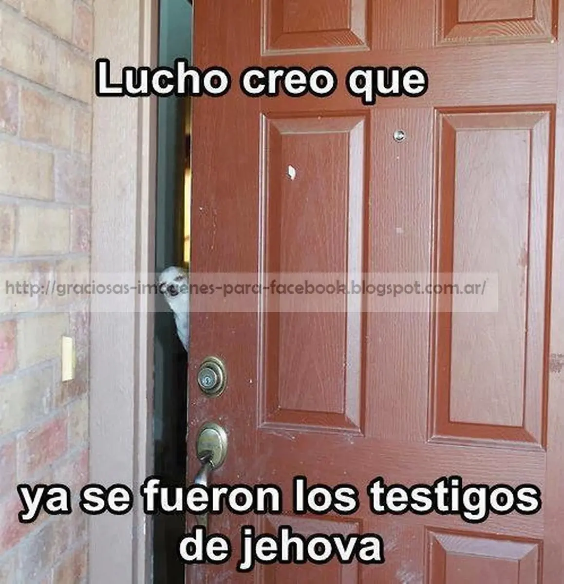 Humor Grafico