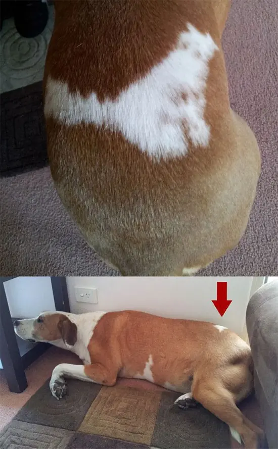 Si estas aburrido este es tu post