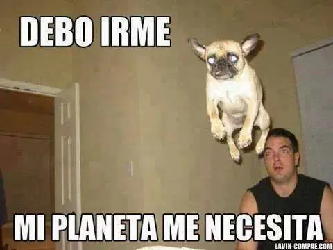 hecho