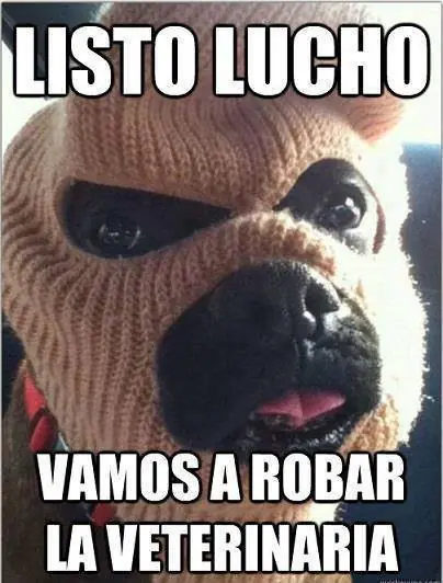 tipico
