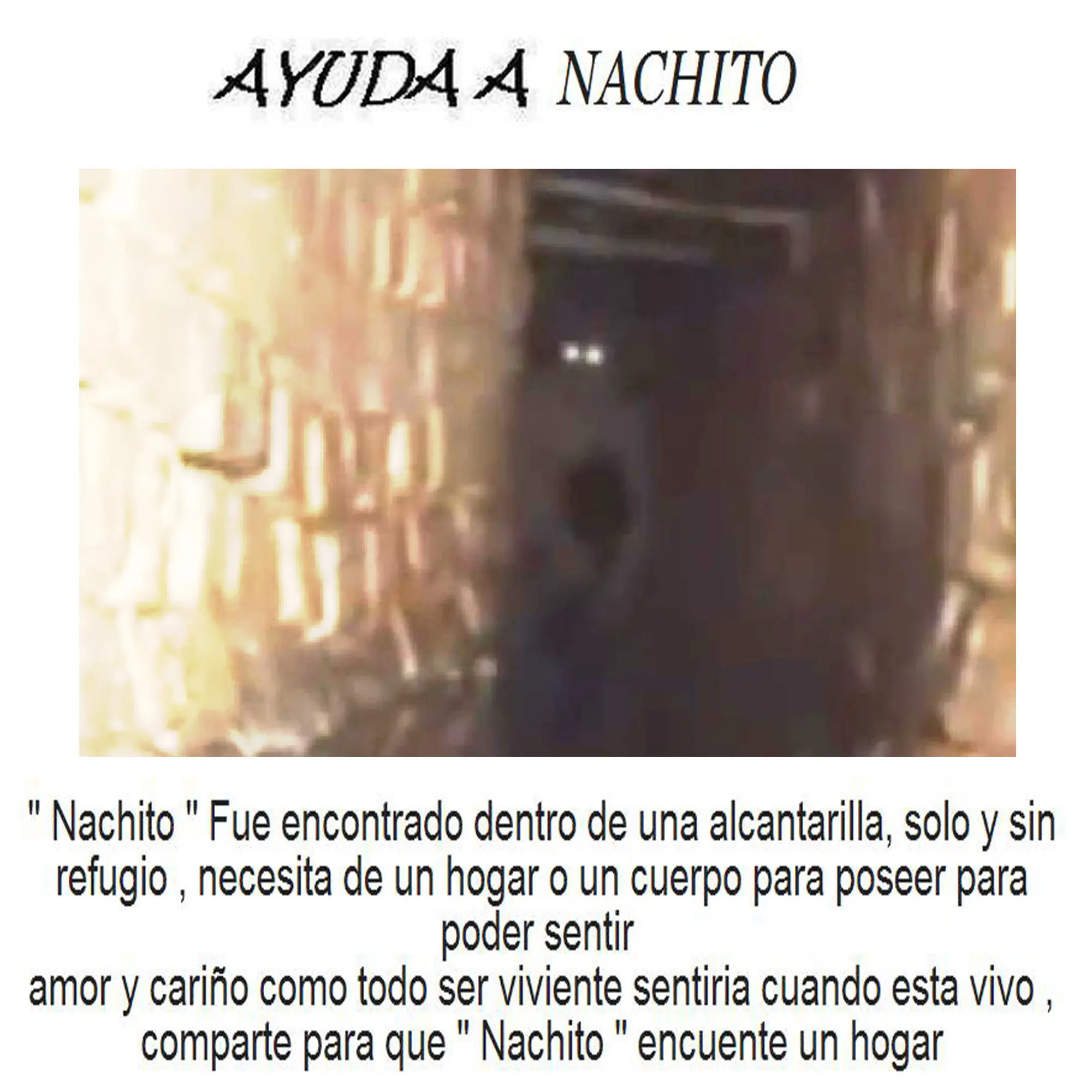 imagenes
