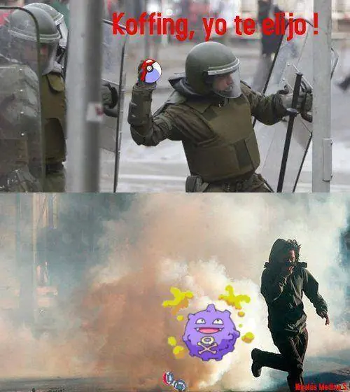 tipico