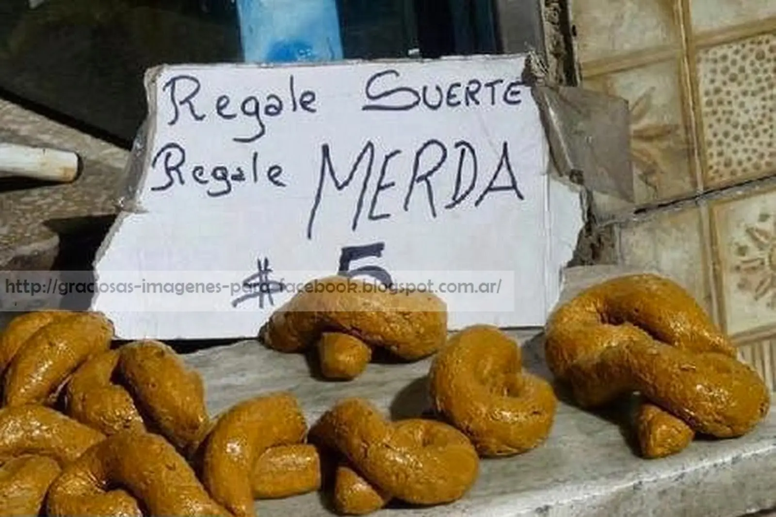 imagenes divertidas