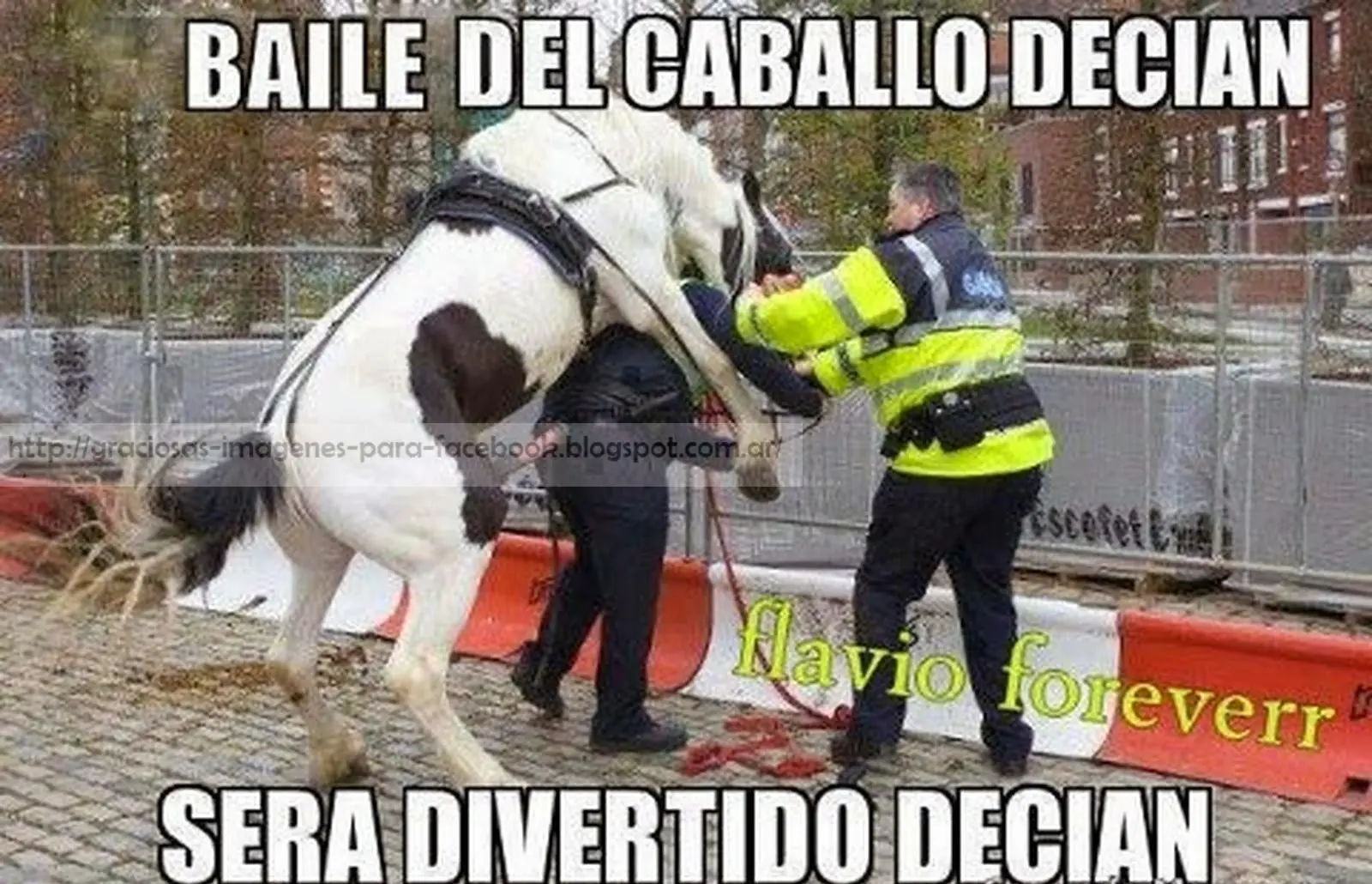 chistoso