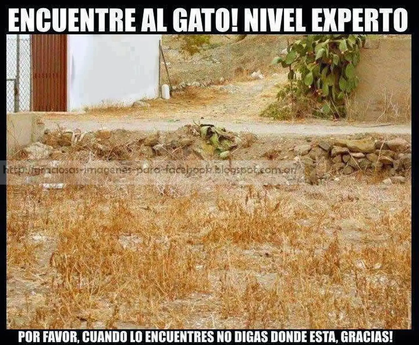 Imagenes graciosas