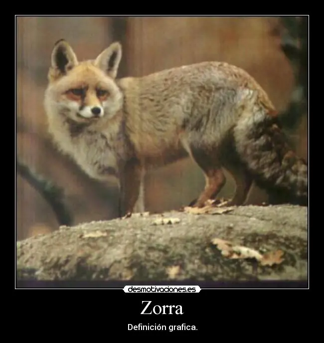 Rimac Concept One, de 0 a 100 km/h en 2,8 segundos