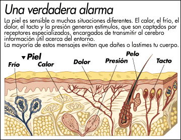 Preguntas