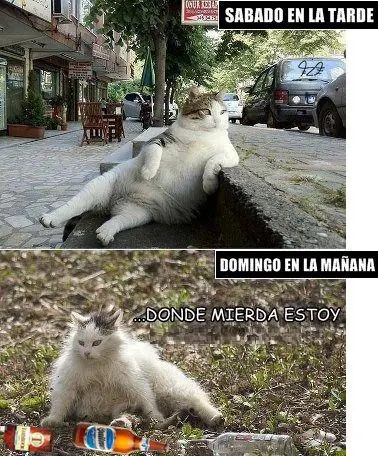 Chistes