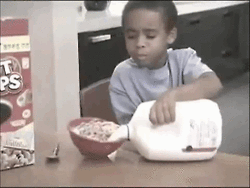 Gifs