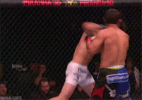 humor en gifs