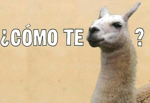 Chistes