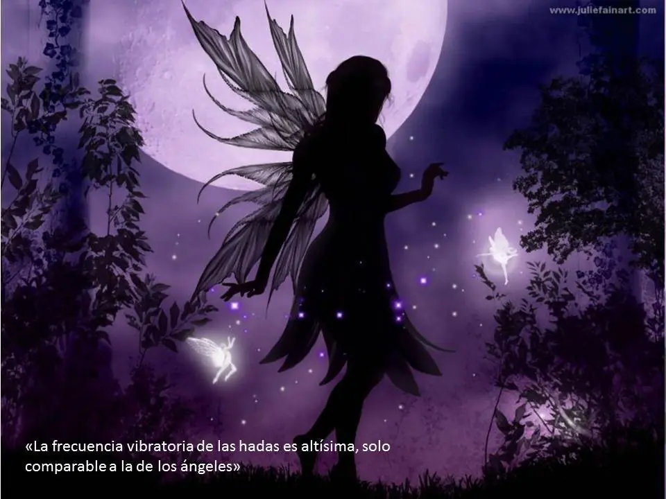 [§] Los Elementales ¿mito o realidad?