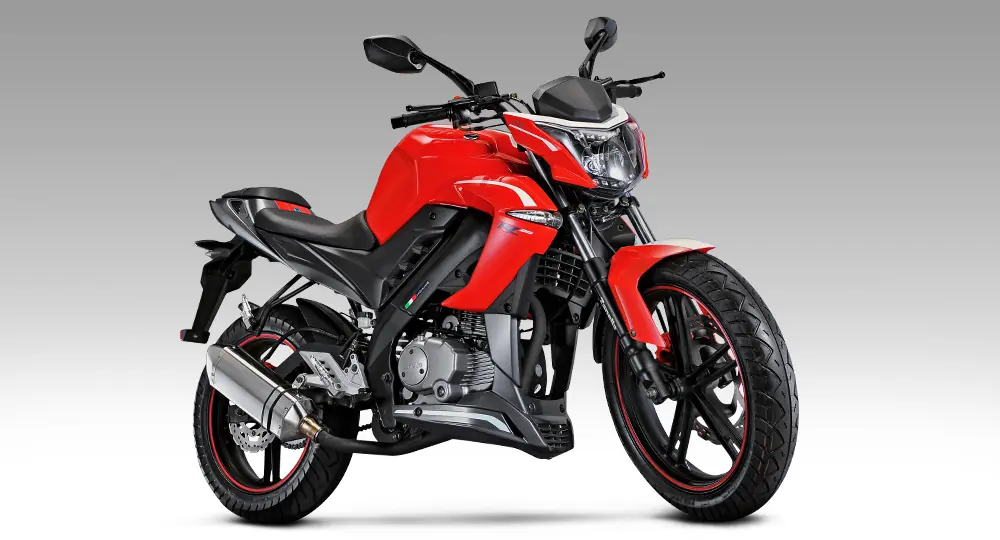 rz 250 naked