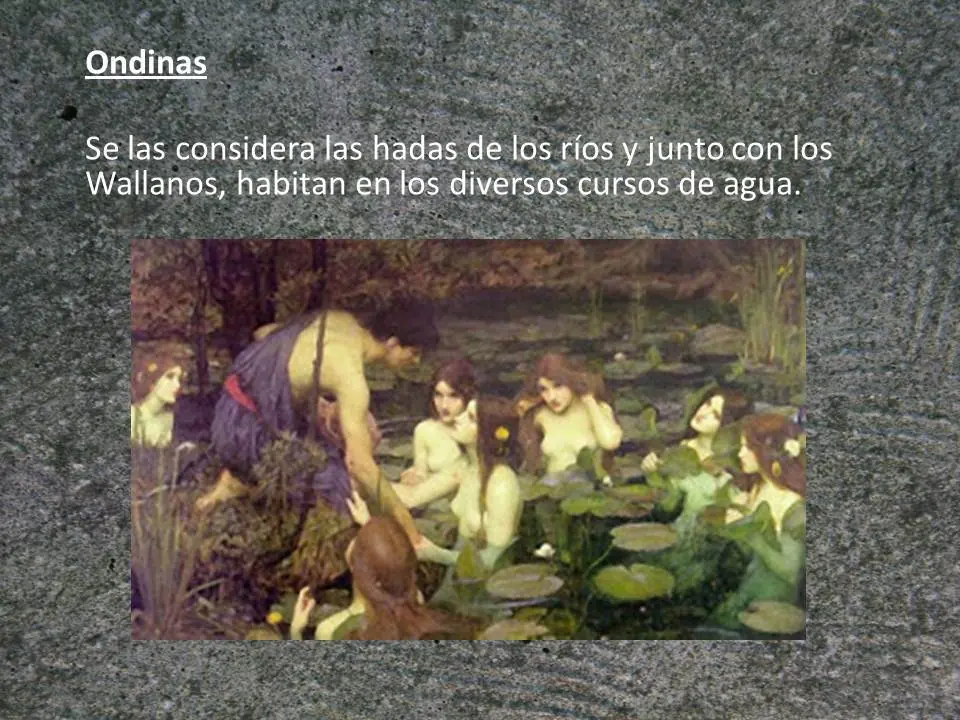 SALAMANDRAS