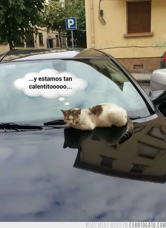 hipnotico