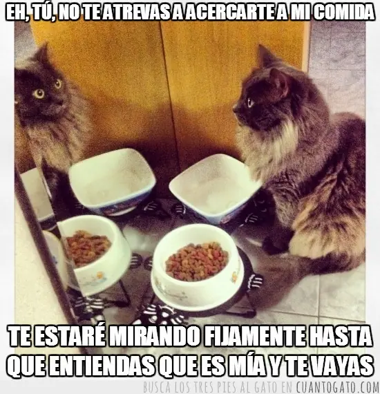 hipnotico