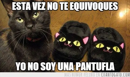 duena