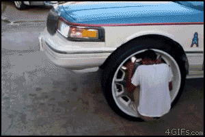 Gifs