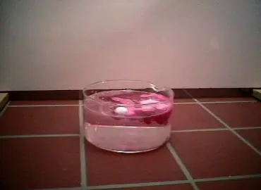 Sodio más agua Na+H2O