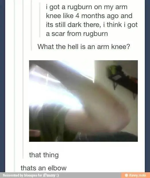tumblr humor