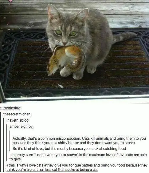 tumblr