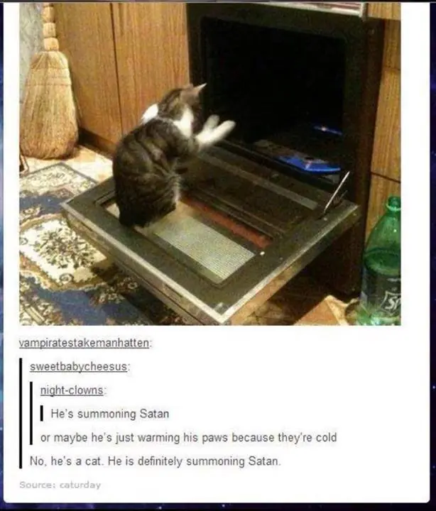 tumblr