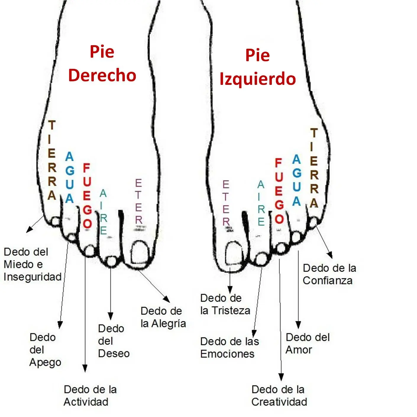 ciencia