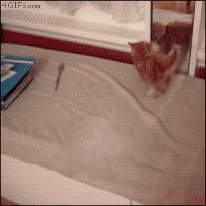 gif chistosos [parte 3]