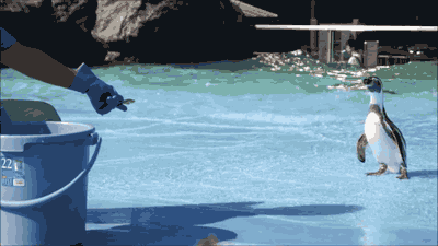 gif chistosos [parte 3]
