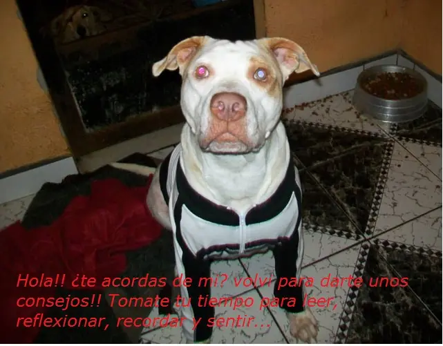 cosas