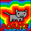 gatos