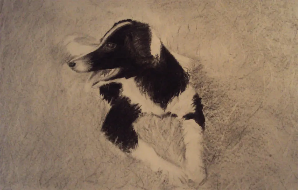 Dibujos del ultimo año