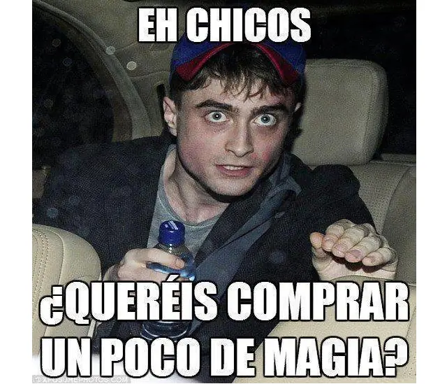 harry potter