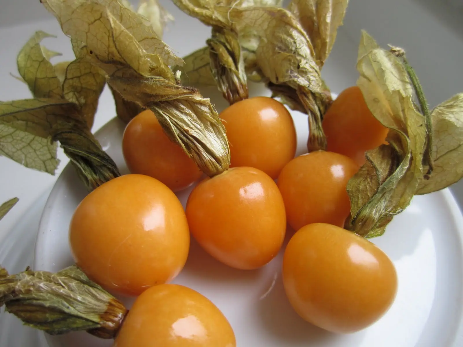 frutas