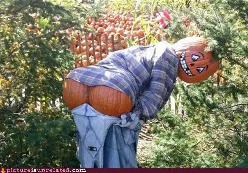 Imagenes WTF?