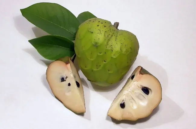 frutas