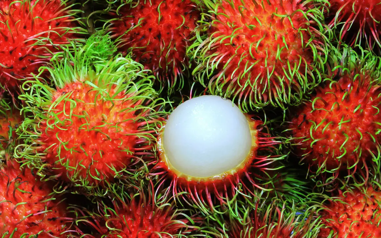 frutas
