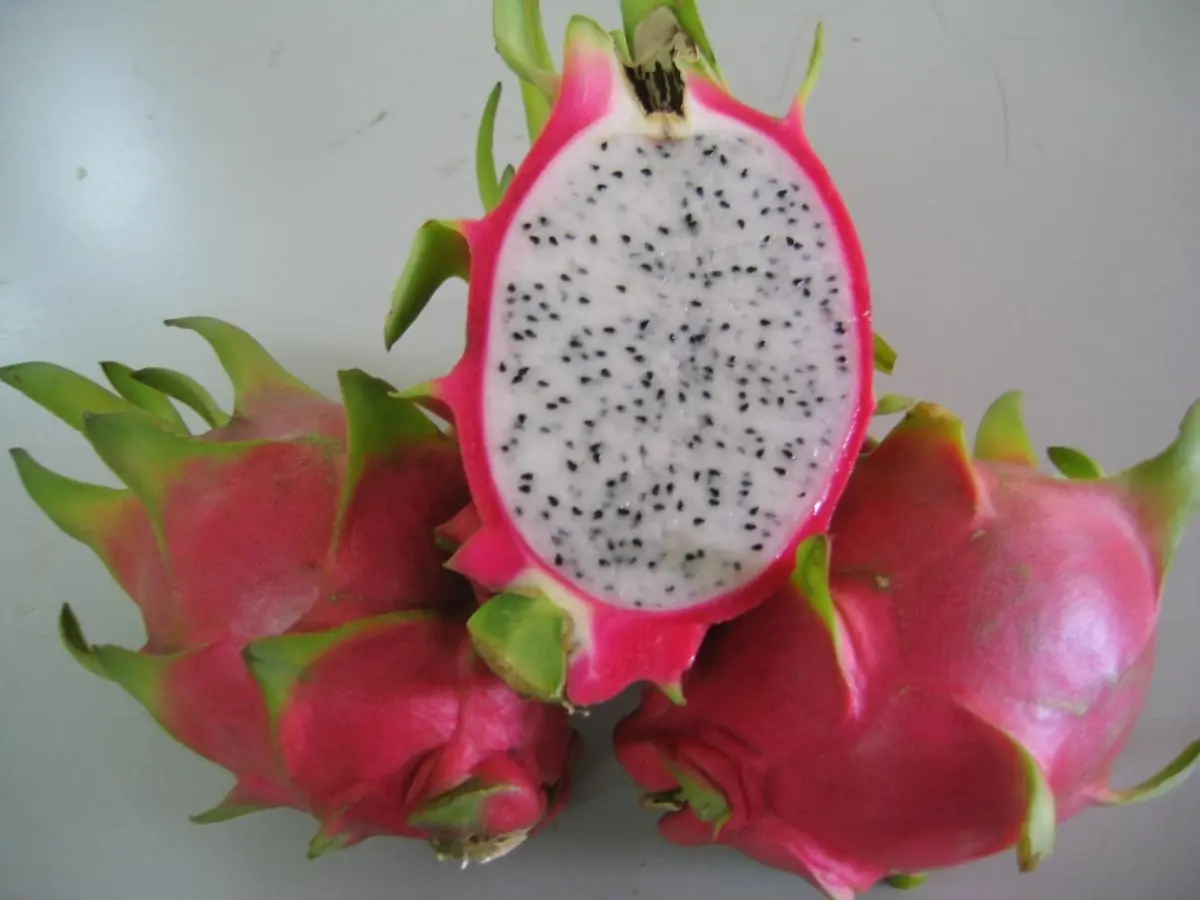 Las 25 frutas mas eoticas y raras del mundo! (resubido)