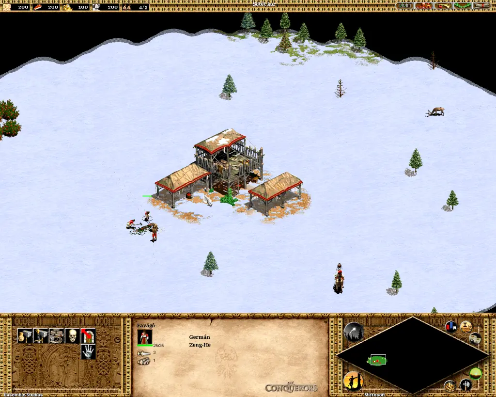 Age of empires - Lenguajes