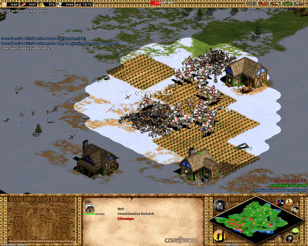 Age of empires - Lenguajes