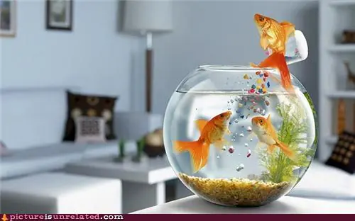 imagenes