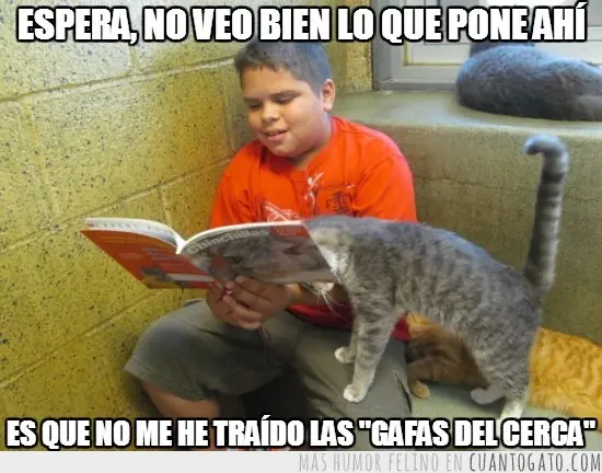 manda