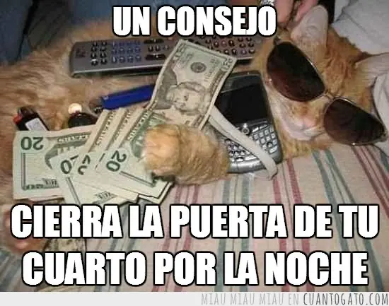 Para los amantes de los gatos